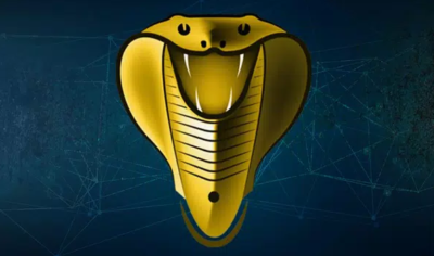 اشتراك كوبرا مفتوح